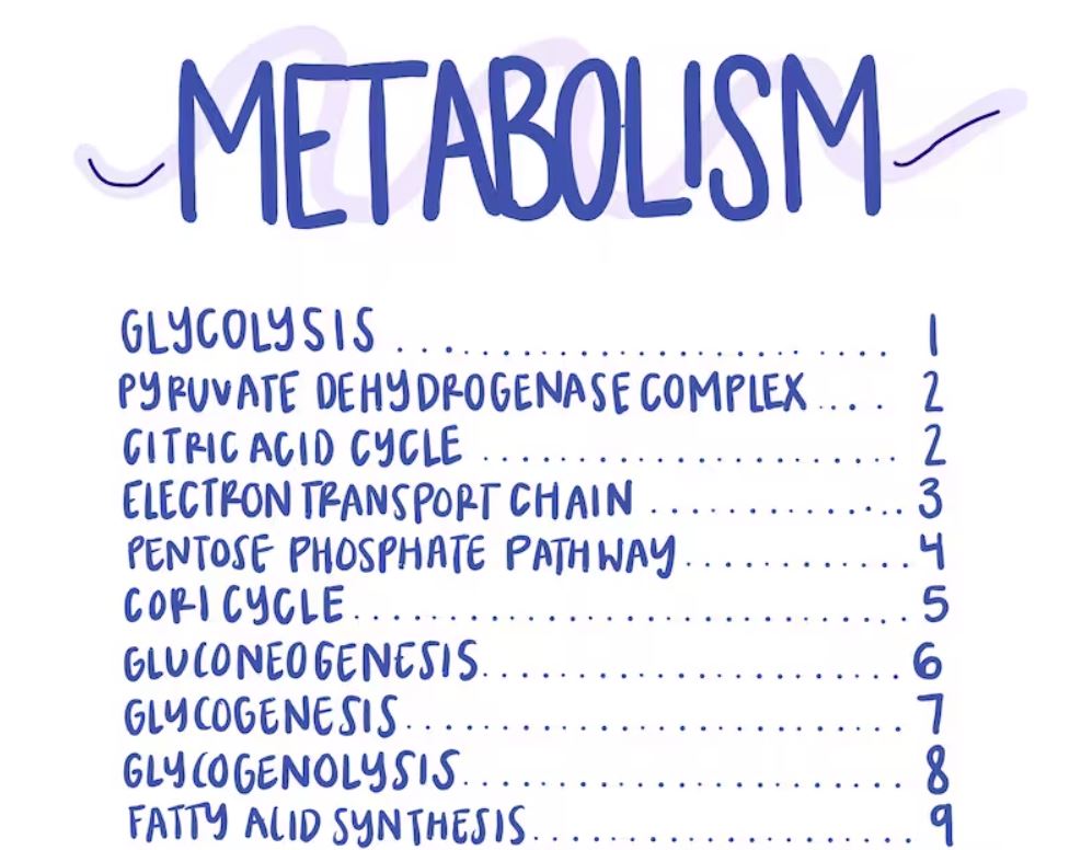 MCAT Metabolism Pathways PDF